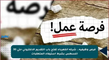 فرص وظيفية.. شركة الكهرباء تفتح باب التقديم الإلكتروني حتى 30 أغسطس بشرط استيفاء المتطلبات